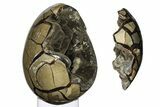 Septarian Dragon Egg Geode - Removable Section #288073-2
